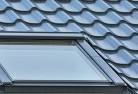 Dumbalkskylight-replacements.jpg; ?>